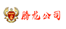 腾龙公司